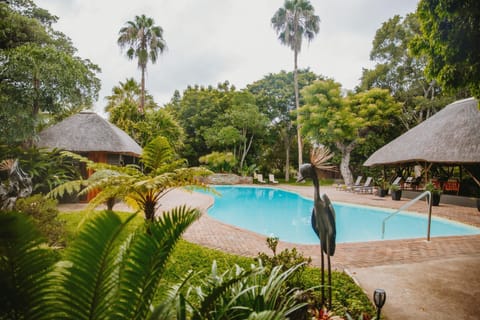 Natural landscape, Garden, Garden view, Pool view, Swimming pool, sunbed