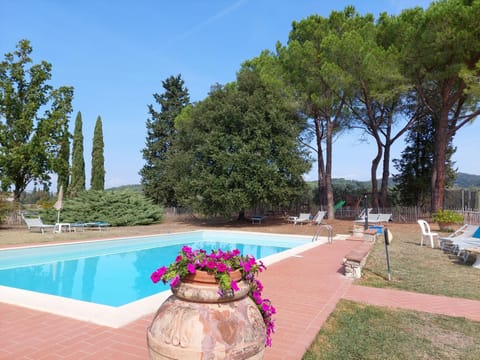 Swimming pool, Public Bath