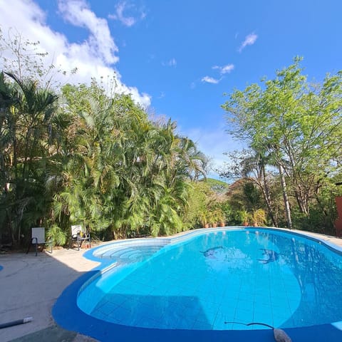 Swimming pool, Swimming pool