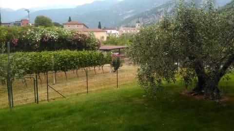 Casa Torboli 2 Apartment in Arco