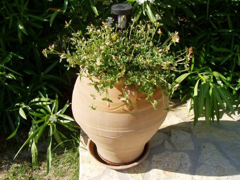 Villa Gecko, Arillas House in Corfu, Greece