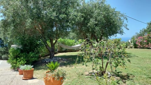 Natural landscape, Garden