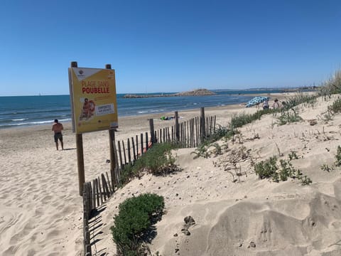Day, Natural landscape, Beach