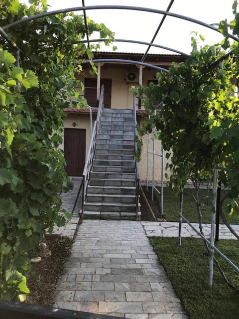 1 floor of the seaside Villa with a terrace Apartment in Euboea