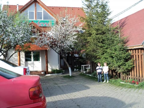 People, Garden, group of guests