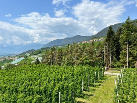 Natural landscape, Mountain view