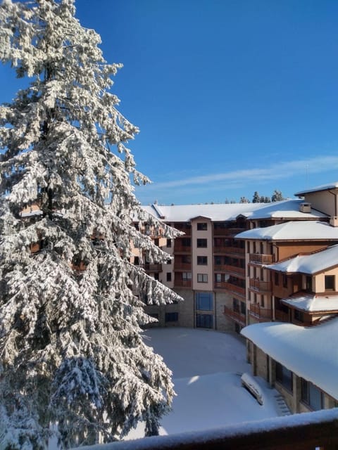 Property building, Winter