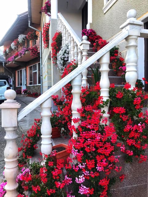 Property building, Day, Summer, Balcony/Terrace