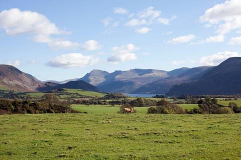 Natural landscape