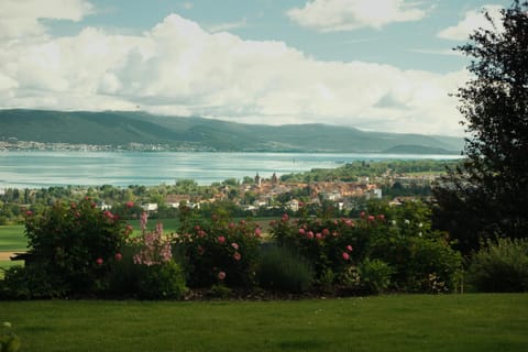 Lakeview Homestay - Private Guest Rooms & Bathroom Vacation rental in Fribourg, Switzerland