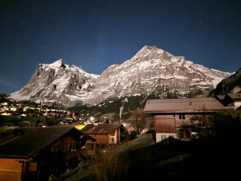Chalet Wärgistal Apartment in Grindelwald