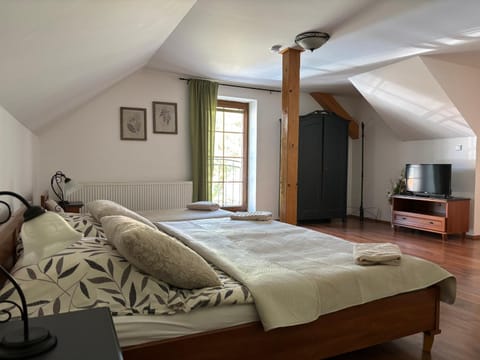 Bed, TV and multimedia, Photo of the whole room