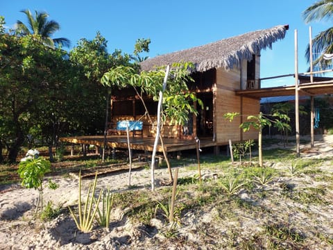 Property building, Garden, Garden view