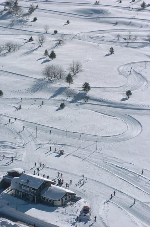 Activities, Ski School, Skiing, Hiking, Sports, children, young children, older children, Family