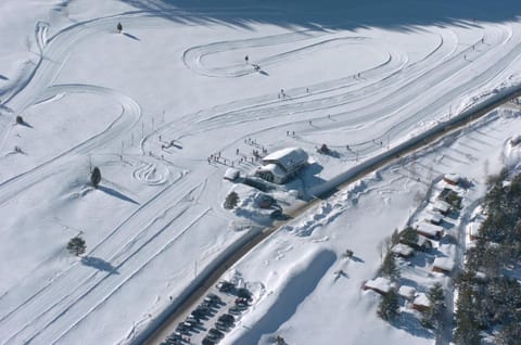 Ski School, Skiing, Sports