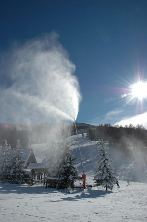 Evening entertainment, Entertainment