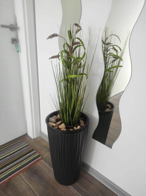 Prenoćište Ljiljana 2 Bed and Breakfast in Split-Dalmatia County