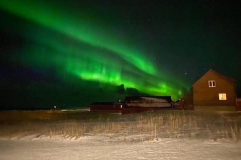 Lofoten_Beach_Eggum_Cabin Cabin in Lofoten