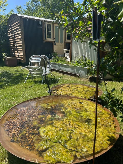 Mr Hares shepherd hut Campground/ 
RV Resort in Mid Suffolk District