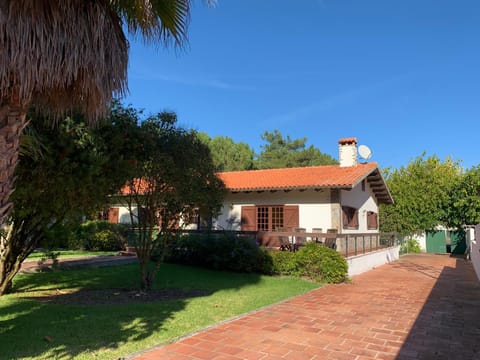 Property building, Spring, Day, Garden, View (from property/room), Garden view