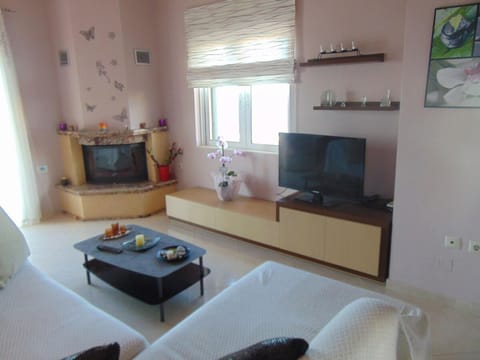 Comfy Beachfront Litinas Casa with SeaView Apartment in Agia Marina