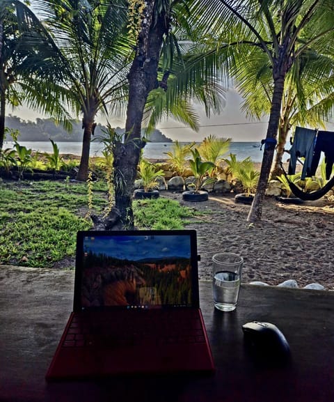 View (from property/room)