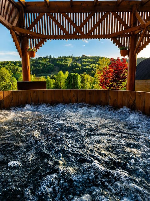 Activities, Activities, Sauna, Mountain view