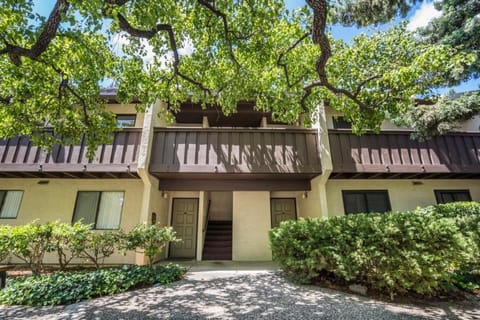 Large and full of light apartment next to Google, Apple, Stanford in the heart of Silicon Valley Apartment in Sunnyvale