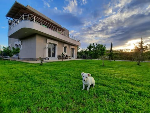 Property building, Garden