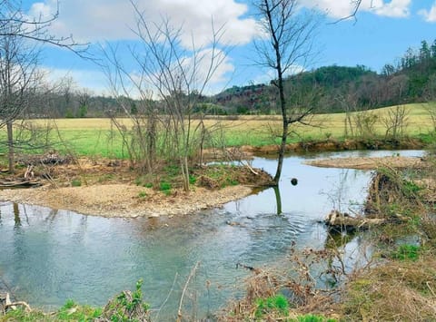 Day, Natural landscape, River view