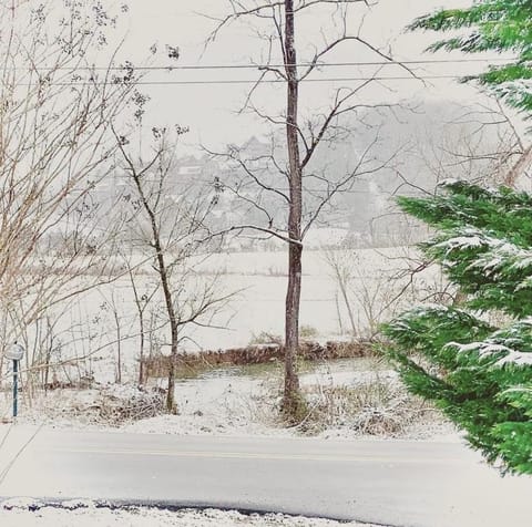 Natural landscape, Winter