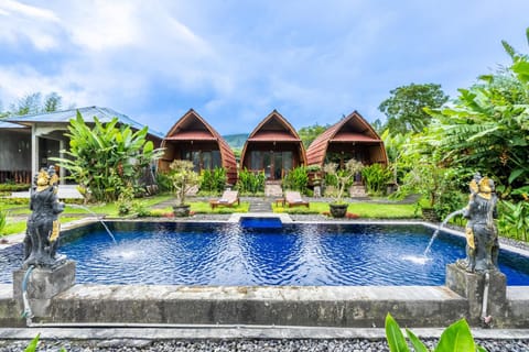 Property building, Garden, Swimming pool, Swimming pool