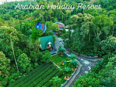 Natural landscape, Bird's eye view, Garden, Garden view