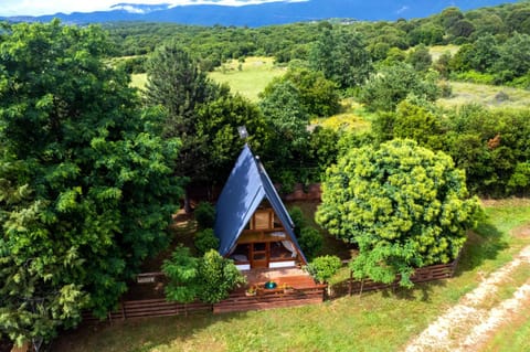 Property building, Spring, Day, Natural landscape, Garden