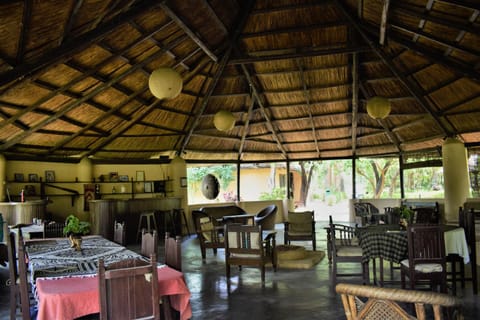 Lounge or bar