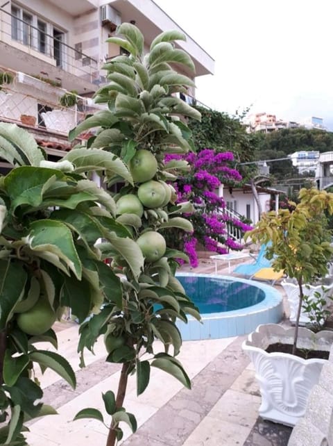 Garden, Swimming pool