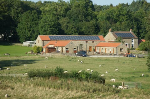 Property building, Patio, Day, Natural landscape, Garden, Animals, On site