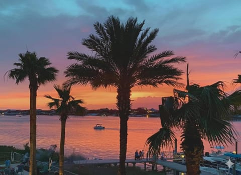 Bella Luna 201- High end Luxury-Walk to Flora-Bama-Boaters Paradise-Amazing View Apartment in Ono Island