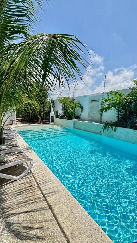 Garden, Pool view, Swimming pool, sunbed