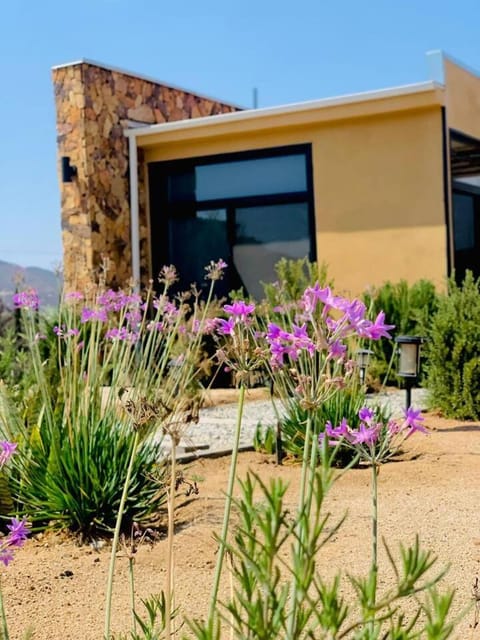 Property building, Spring, Garden