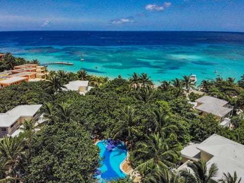 Natural landscape, Bird's eye view, Pool view, Sea view