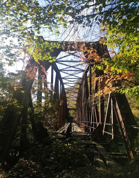 Vikendica,, Tadic,, Ovčar Banja House in Zlatibor District, Serbia