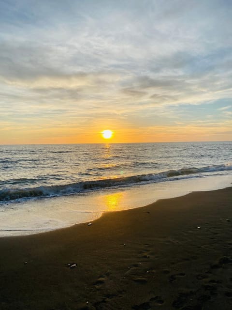 Natural landscape, Beach, Sunset