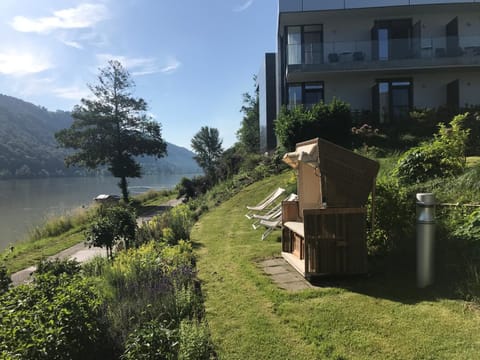 Natural landscape, Garden, River view