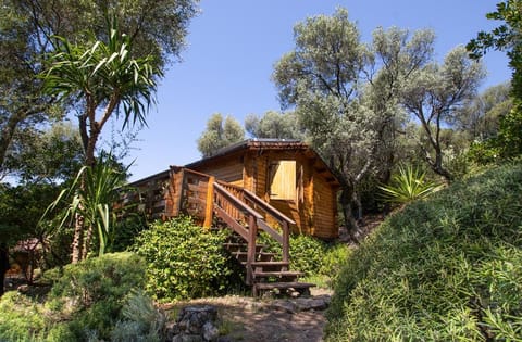 Property building, Natural landscape, Garden, Garden view