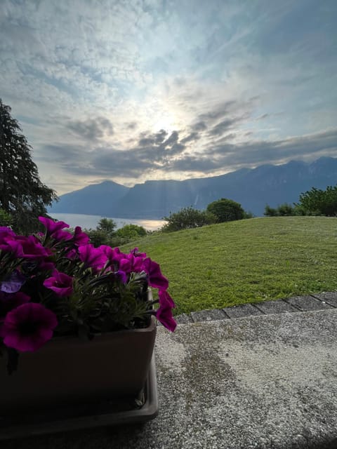 Spring, Lake view, Mountain view