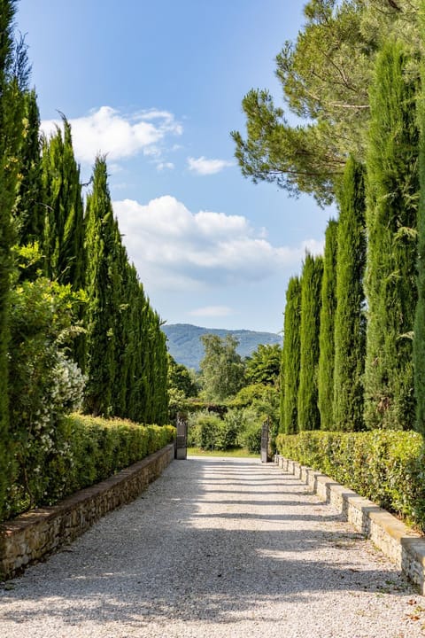 Day, Garden, Garden view