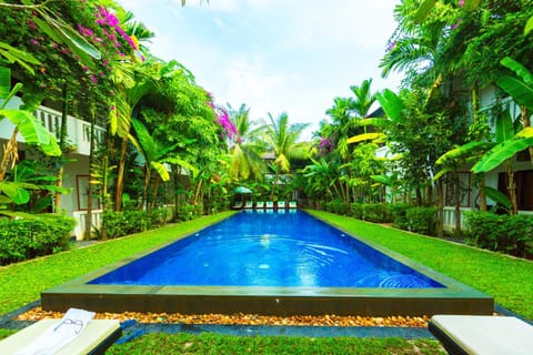 Pool view, Swimming pool