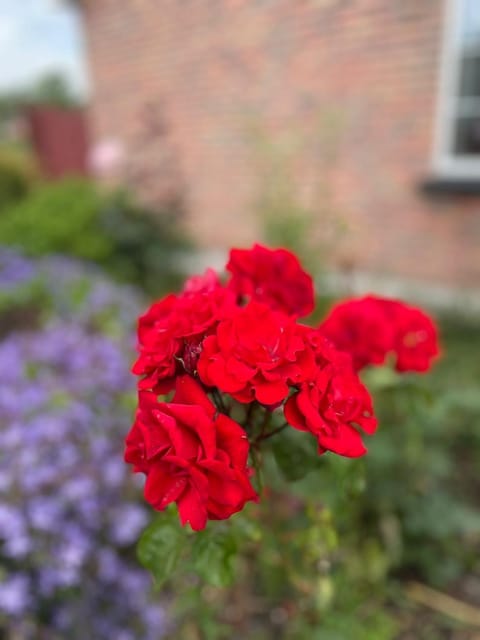 PORTORA HOUSE- breakfast available pay host at property Bed and Breakfast in Leitrim, Co. Leitrim, Ireland