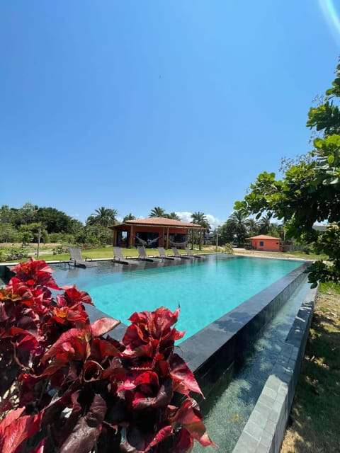 Day, Garden, Garden view, Pool view, sunbed